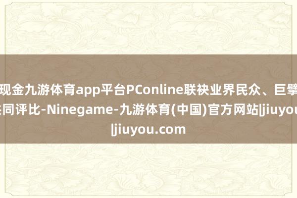 现金九游体育app平台PConline联袂业界民众、巨擘机构共同评比-Ninegame-九游体育(中国)官方网站|jiuyou.com