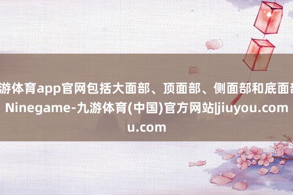 九游体育app官网包括大面部、顶面部、侧面部和底面部-Ninegame-九游体育(中国)官方网站|jiuyou.com