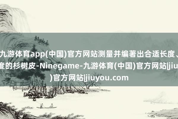 九游体育app(中国)官方网站测量并编著出合适长度、宽度和厚度的杉树皮-Ninegame-九游体育(中国)官方网站|jiuyou.com